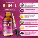 liposomal-nad-supplement-1200mg-nad-liqu-3.jpg