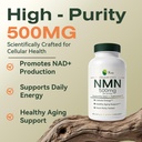 xage-nmn-nicotinamide-mononucleotide-sup-2.jpg