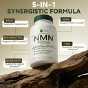 xage-nmn-nicotinamide-mononucleotide-sup-5.jpg