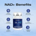 liposomal-nad-plus-booster-500mg-per-cap-4.jpg