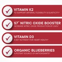 purity-products-artery-pill-core-from-mk-4.jpg