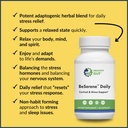 healthy-gut-beserene-daily-cortisol-stre-6.jpg
