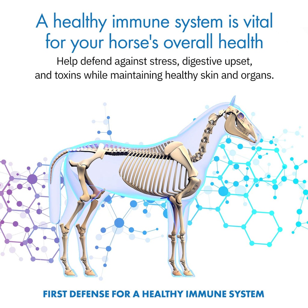 healthygut-probiotics-for-horses-dietary-2.jpg