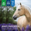 healthygut-probiotics-for-horses-dietary-3.jpg