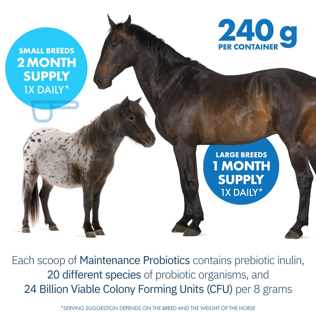 healthygut-probiotics-for-horses-dietary-4.jpg