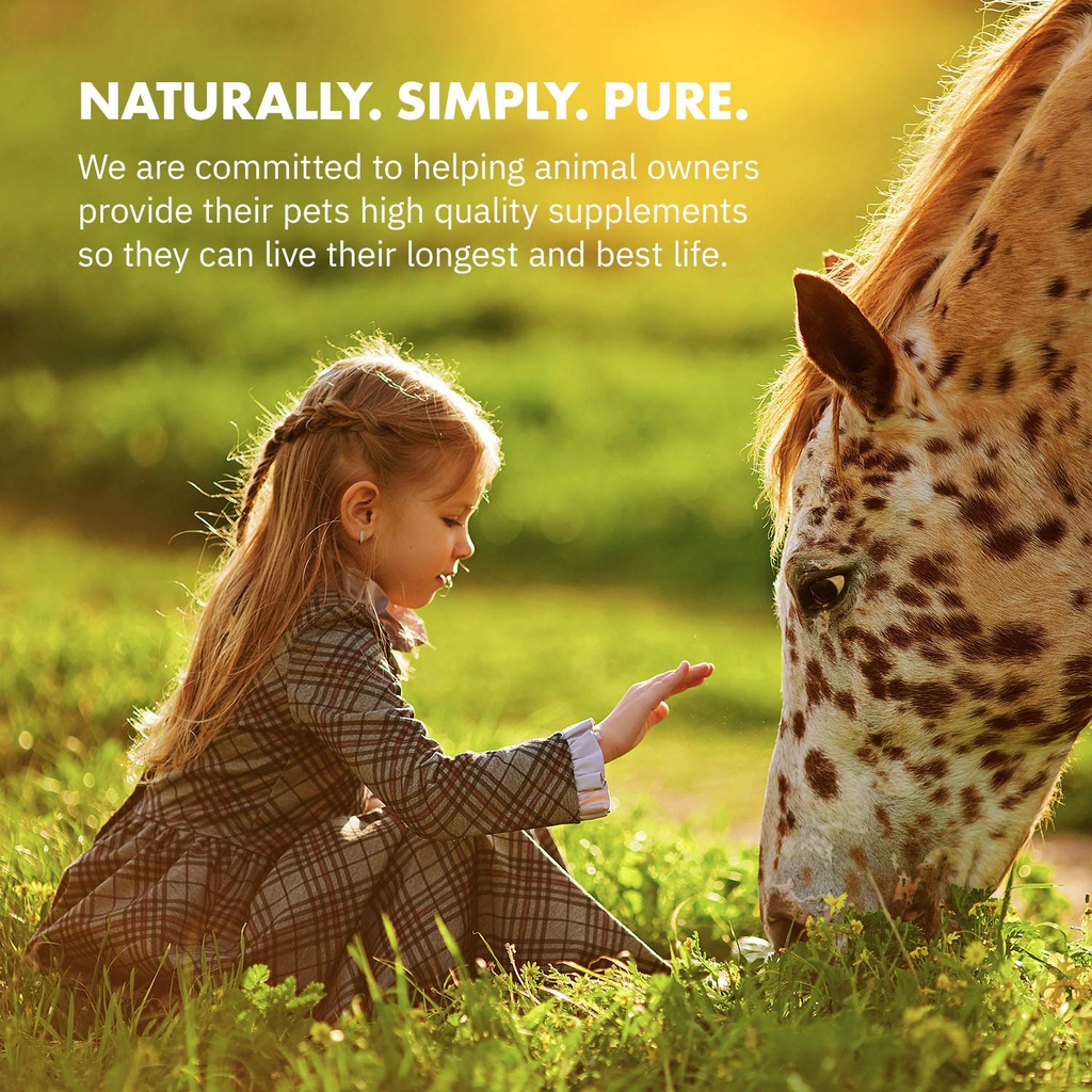 healthygut-probiotics-for-horses-dietary-5.jpg