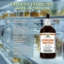 stinging-nettle-urtica-dioica-dry-root-g-4.jpg