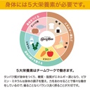 otsuka-pharmaceutical-co-ltd-4-30-pieces-2.jpg