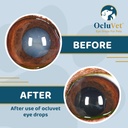 ocluvet-eye-drops-for-pets-clinically-st-3.jpg