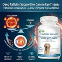 eye-care-for-dogs-daily-vision-supplemen-4.jpg