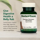 standard-process-inc-canine-enteric-supp-3.jpg