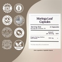 zen-principle-organic-moringa-oleifera-u-2.jpg
