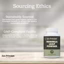 zen-principle-organic-moringa-oleifera-u-6.jpg