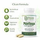 moringa-powder-capsules-800mg-of-pure-nu-6.jpg