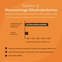 gldn-berberine-advanced-absorption-formu-4.jpg