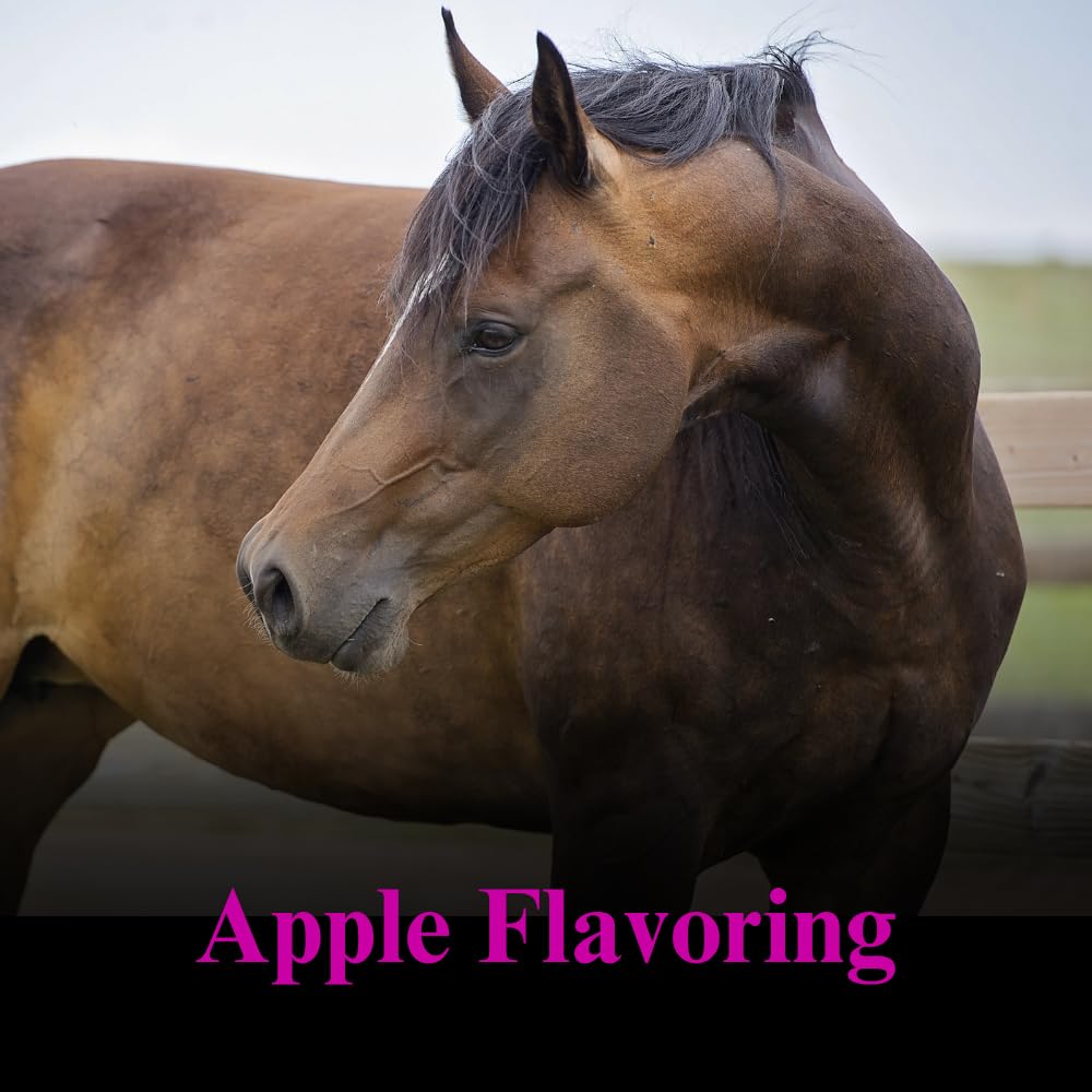su-per-gain-weight-for-horses-equine-sup-4.jpg