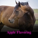 su-per-gain-weight-for-horses-equine-sup-4.jpg