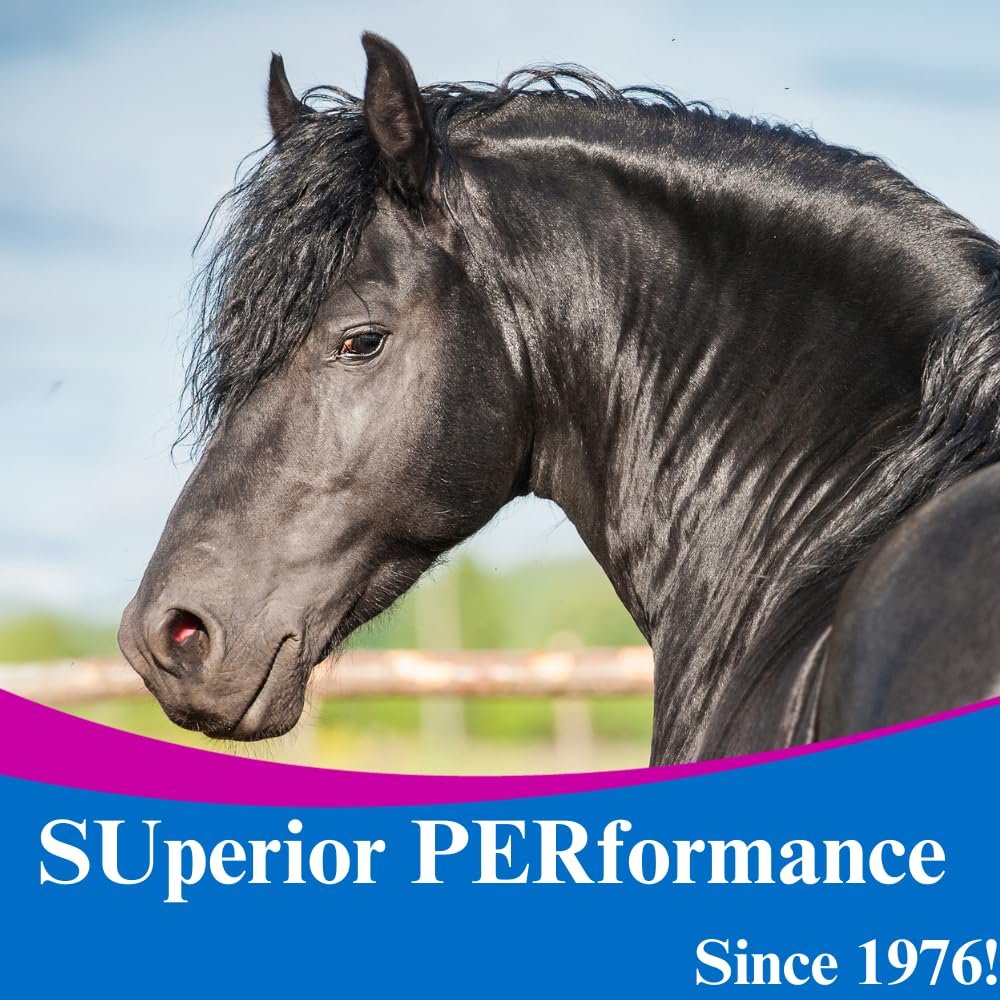 su-per-gain-weight-for-horses-equine-sup-6.jpg