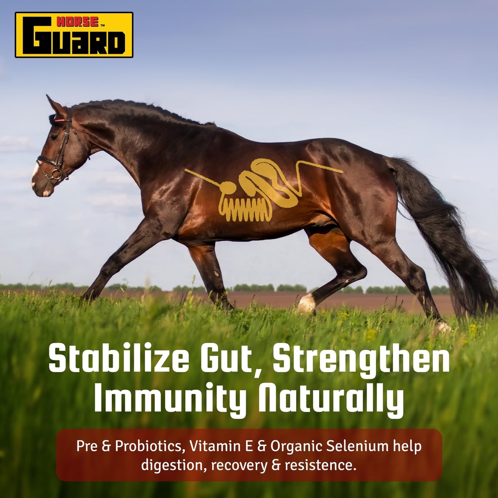 horse-guard-super-weight-gain-24-lb-3-in-5.jpg