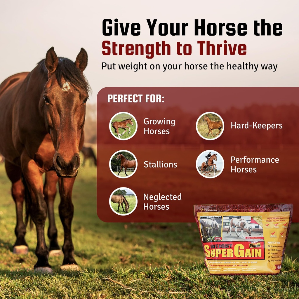 horse-guard-super-weight-gain-24-lb-3-in-2.jpg