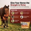 horse-guard-super-weight-gain-24-lb-3-in-2.jpg