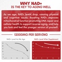liquid-nad-extra-strength-1-2000mg-nad-s-3.jpg