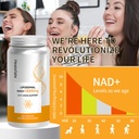 nad-supplement-600mg-with-quercetin-resv-6.jpg