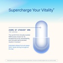 prohealth-nmn-pro-250-sustained-release--5.jpg