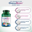 purity-products-omegaberry-fish-oil-w-vi-3.jpg