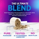 mushroom-powder-supplement-11-in-1-blend-6.jpg