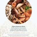 youtheory-mushroom-immune-complex-60-veg-5.jpg