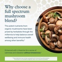 youtheory-mushroom-immune-complex-60-veg-4.jpg
