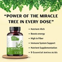 moringa-capsule-1000-mg-120-capsules-mor-6.jpg