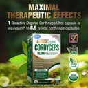 labo-nutrition-bioactive-organic-cordyce-2.jpg