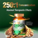 labo-nutrition-bioactive-organic-cordyce-5.jpg