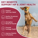 hip-joint-supplement-for-dogs-glucosamin-2.jpg