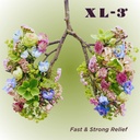 xl-3-allergy-24-hour-allergy-relief-2-pa-2.jpg