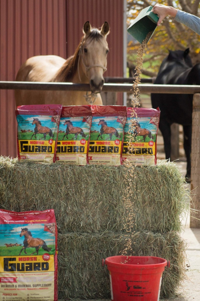 horse-guard-10-lb-equine-vitamin-mineral-4.jpg