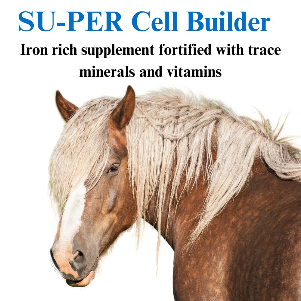 su-per-cell-builder-horse-supplement-hig-3.jpg