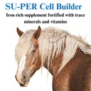 su-per-cell-builder-horse-supplement-hig-3.jpg