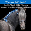 su-per-b-12-energy-horse-supplement-equi-5.jpg