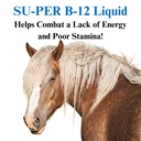 su-per-b-12-energy-horse-supplement-equi-3.jpg