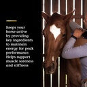 vita-flex-pro-lactanase-pre-performance--5.jpg