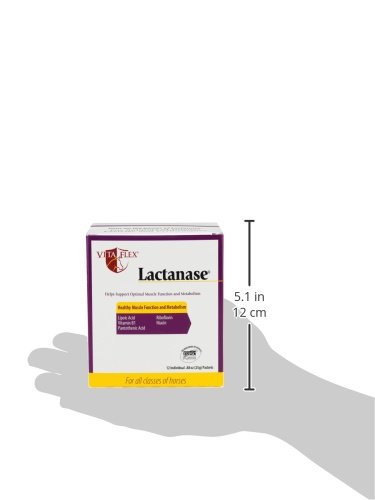 vita-flex-pro-lactanase-pre-performance--3.jpg