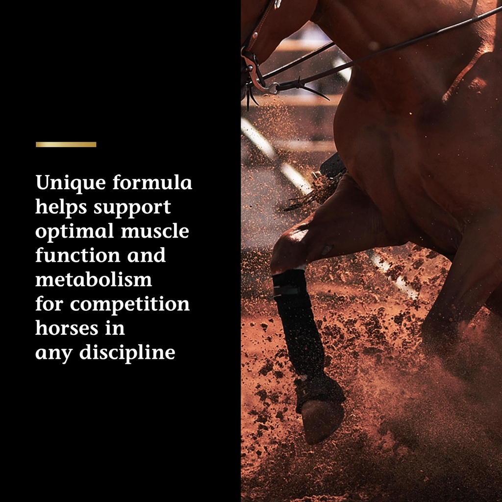 vita-flex-pro-lactanase-pre-performance--4.jpg