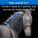 su-per-b12-for-horses-equine-vitamins-b--5.jpg