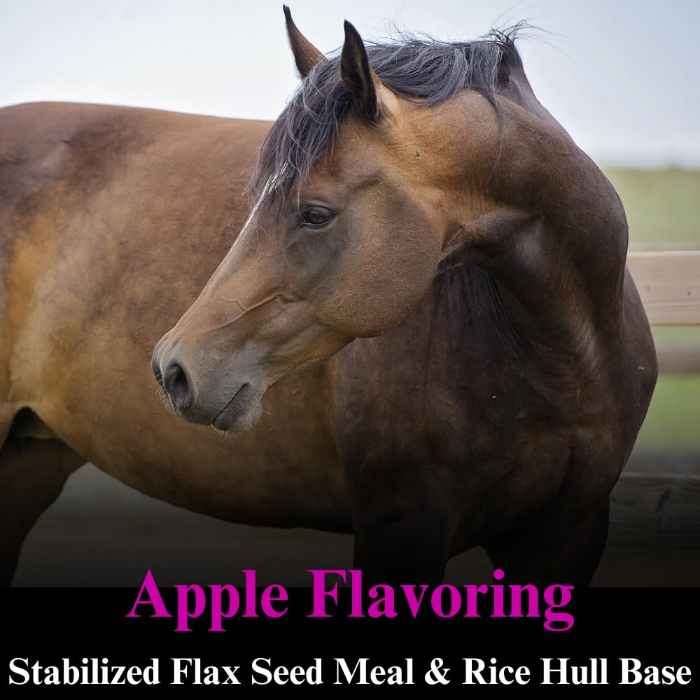 su-per-b12-for-horses-equine-vitamins-b--4.jpg