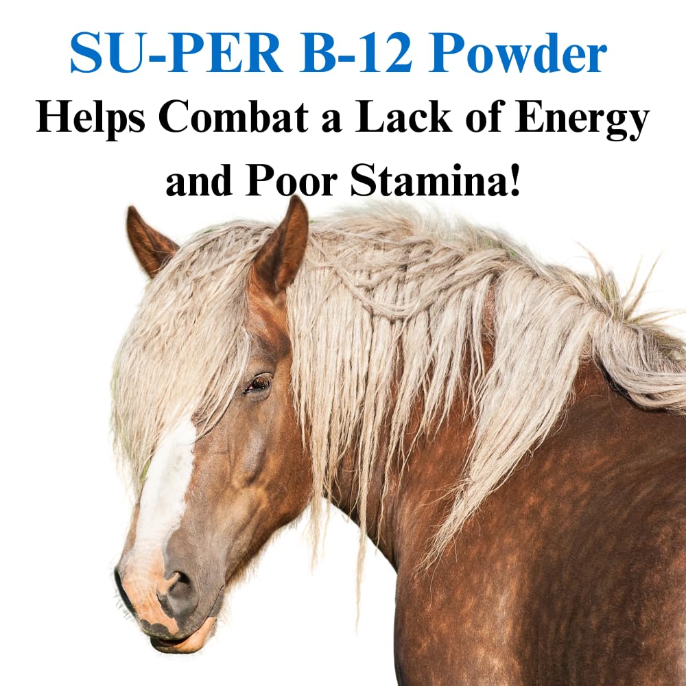 su-per-b12-for-horses-equine-vitamins-b--3.jpg