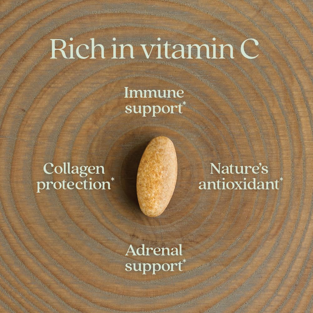 new-chapter-fermented-vitamin-c-elderber-4.jpg