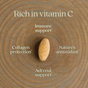 new-chapter-fermented-vitamin-c-elderber-4.jpg